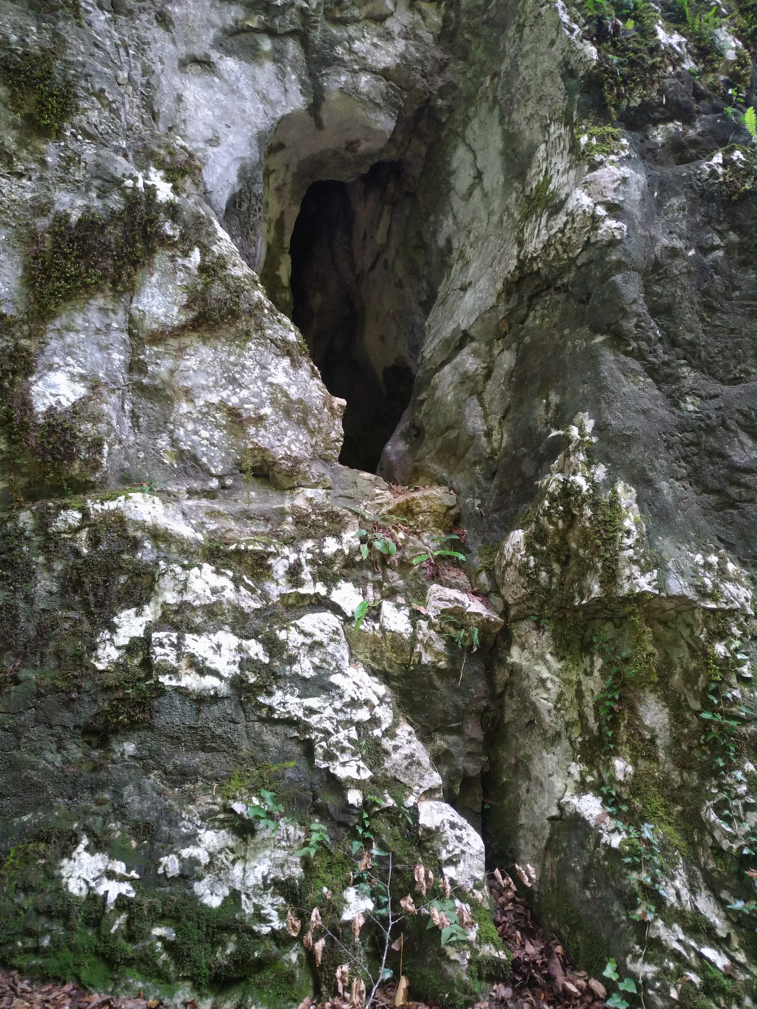 Peștera de la Gura Comarnicului - Image 1